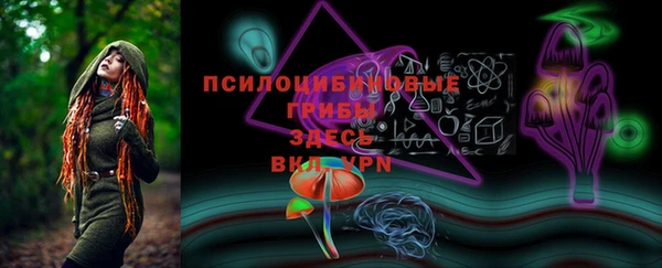 прущие грибы Вязьма