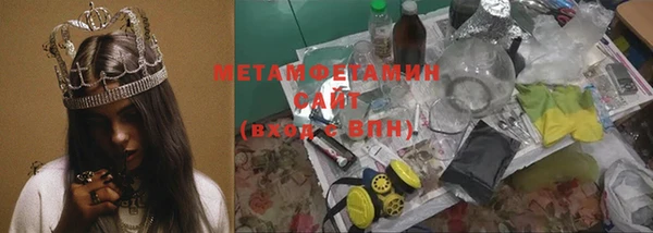 прущие грибы Вязьма