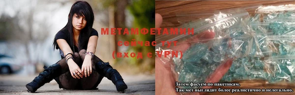 прущие грибы Вязьма