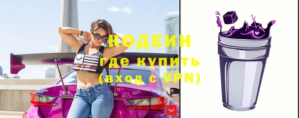 прущие грибы Вязьма