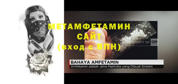 прущие грибы Вязьма