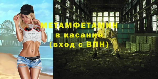 прущие грибы Вязьма