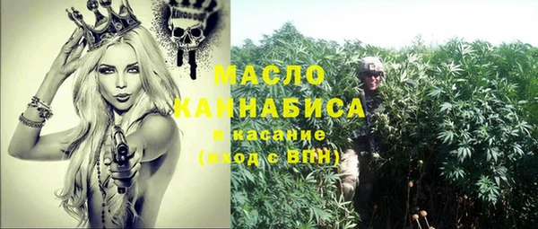 винт Вяземский