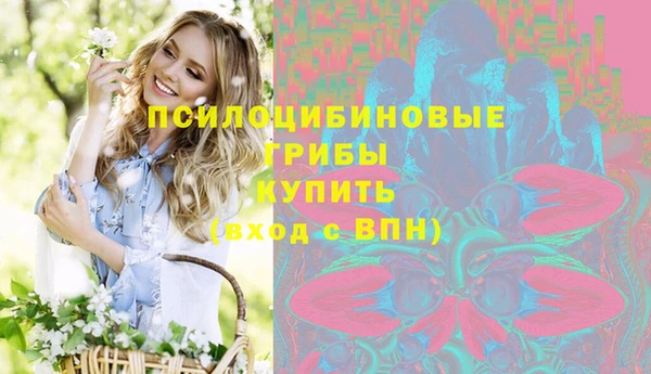 винт Вяземский