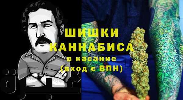 прущие грибы Вязьма