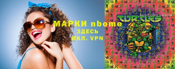 прущие грибы Вязьма