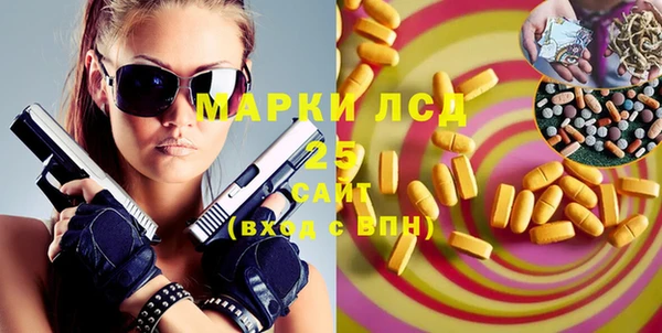 прущие грибы Вязьма