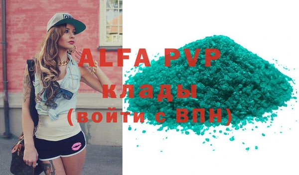 прущие грибы Вязьма