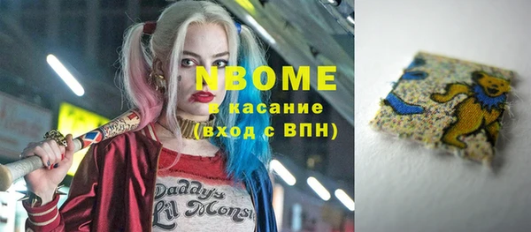 прущие грибы Вязьма