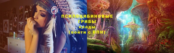 винт Вяземский