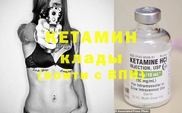 прущие грибы Вязьма